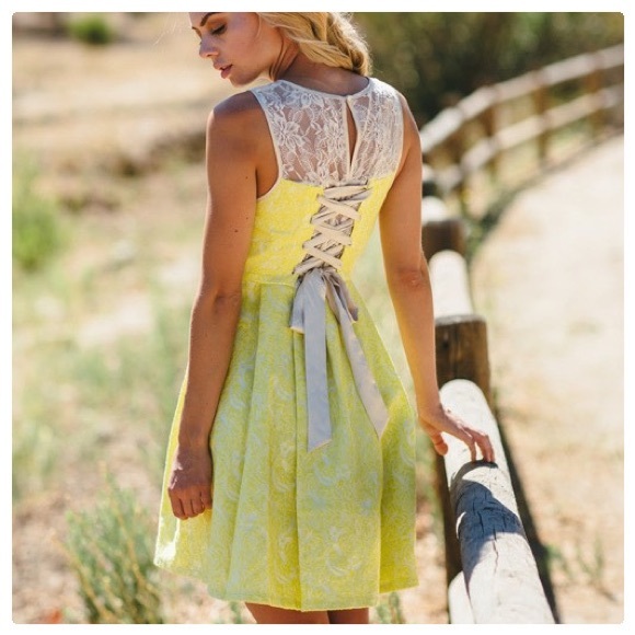 Ryu Dresses & Skirts - Ryu Lolita Lace & Jacquard Mini Dress